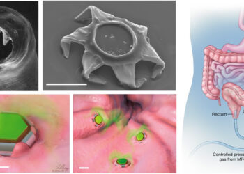 Shape-changing theragrippers as self-latching drug delivery devices. Credits: Science Advanced.