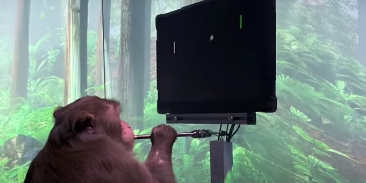 neuralink monkey pong brain