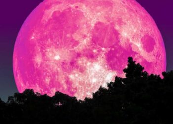 pink super moon