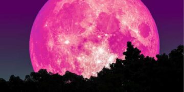 pink super moon